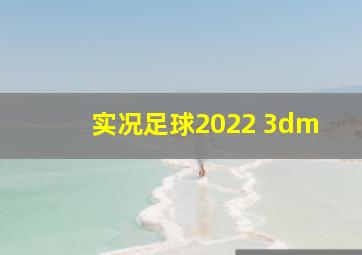 实况足球2022 3dm